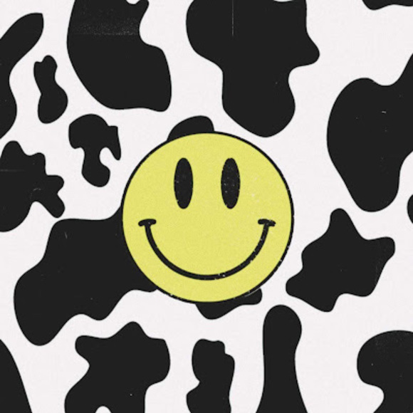 Meet your Posher, Harper - Picture 1 of 1